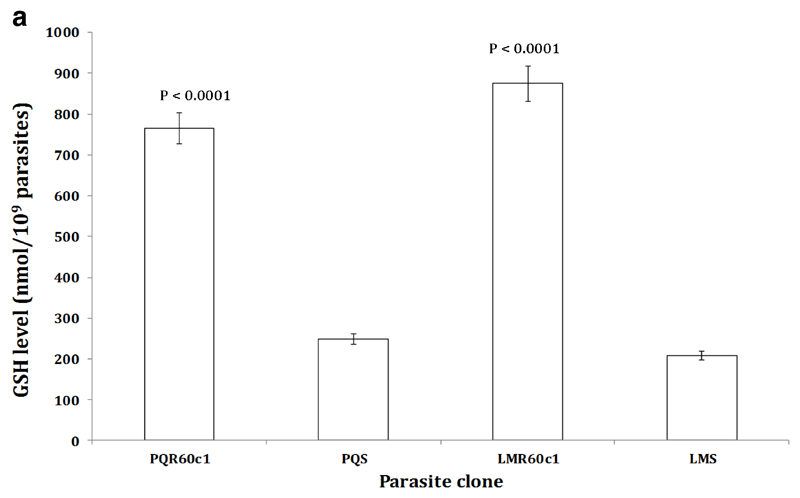 Figure 3a