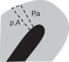 Fig. 12.