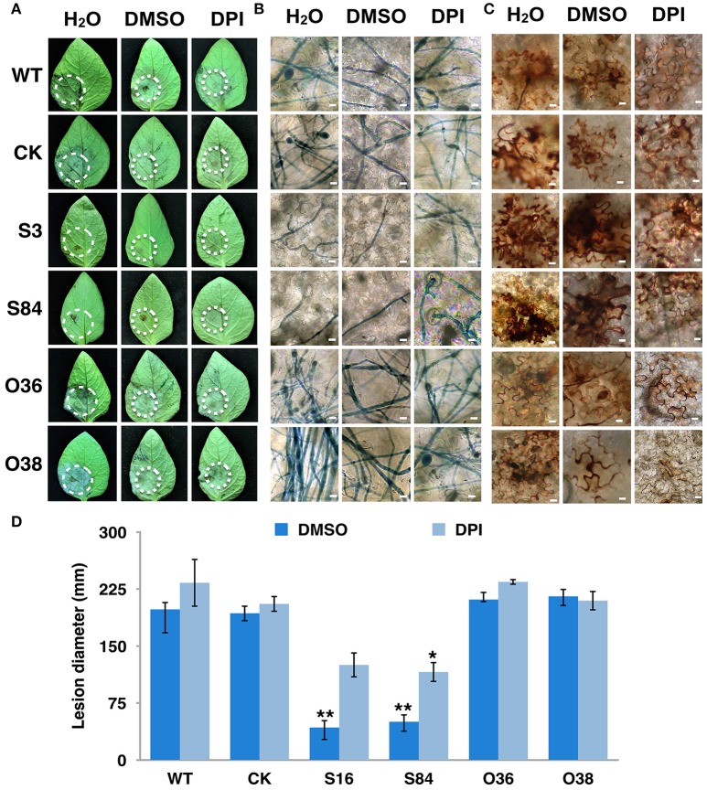 Figure 10