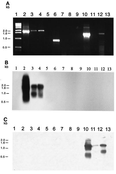 FIG. 5