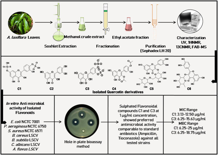 FIGURE 4