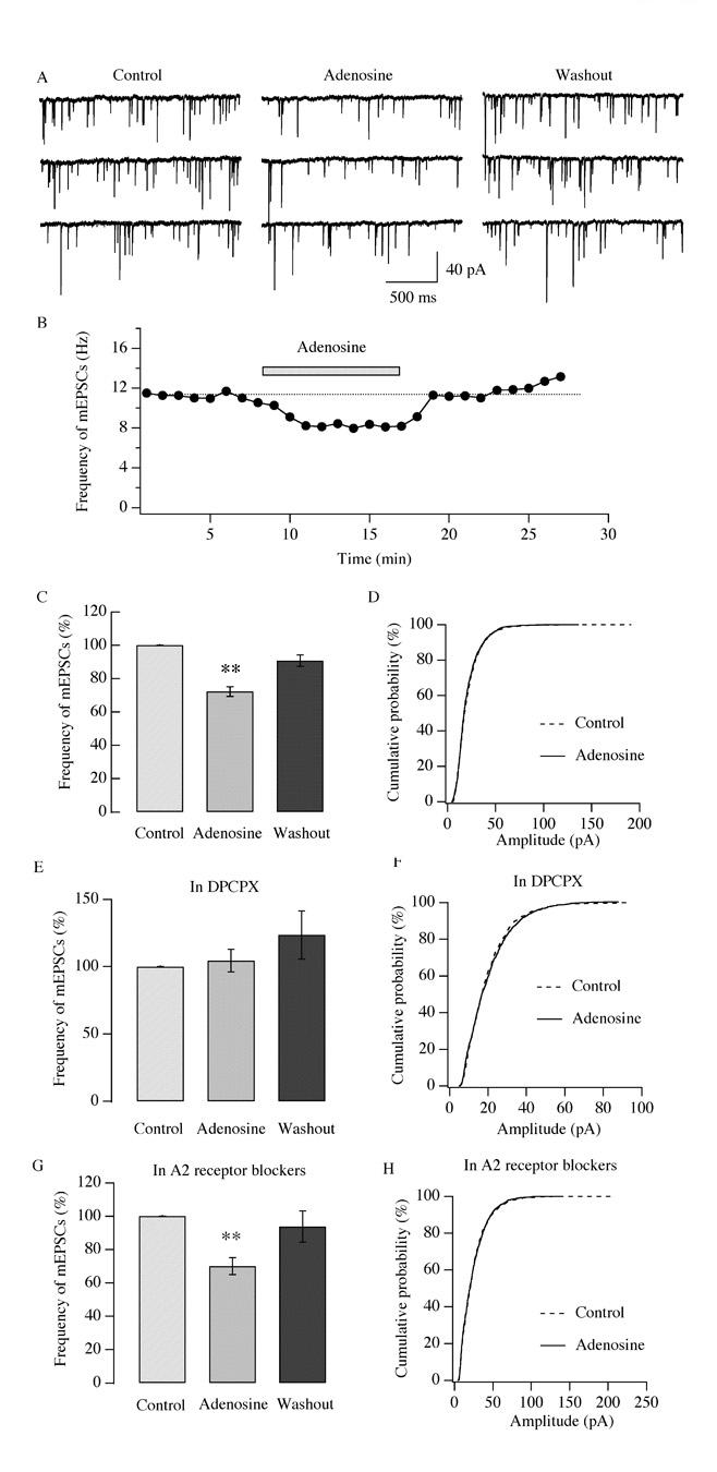 Fig.7