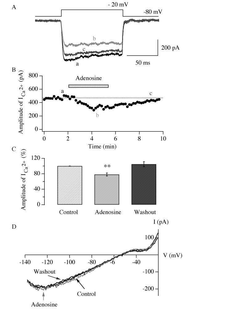 Fig.8