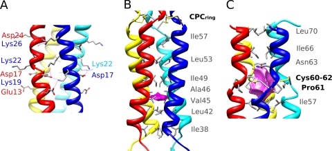 FIG. 2.