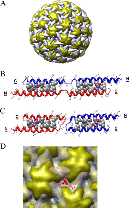 FIG. 3.