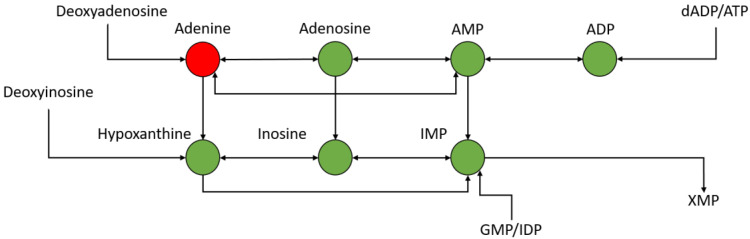 Figure 10