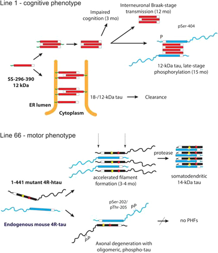 Fig. 11