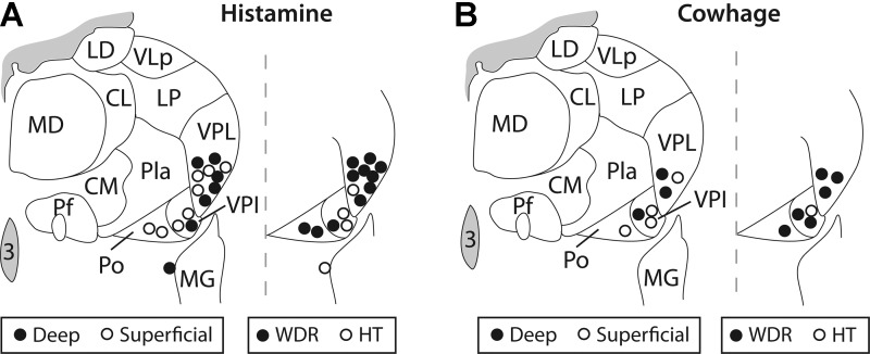 Fig. 9.