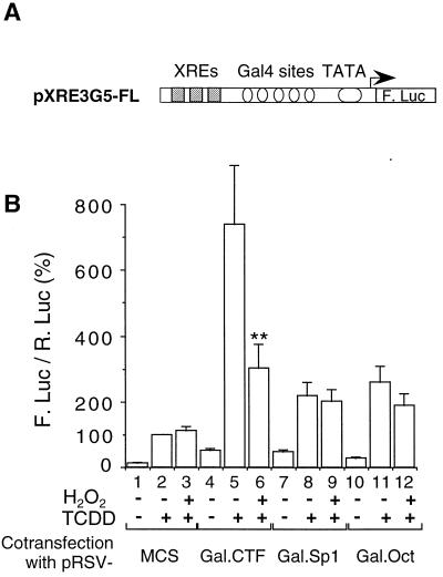 FIG. 8