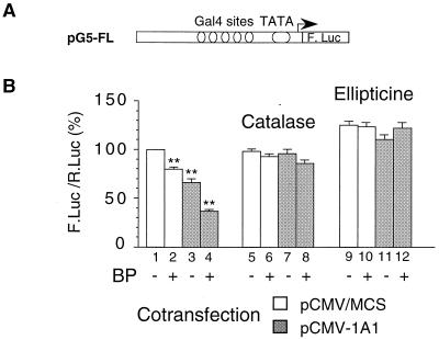 FIG. 6