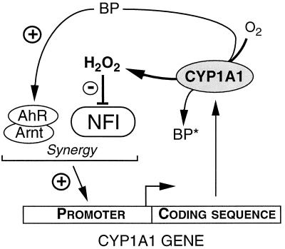 FIG. 9