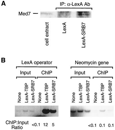 FIG. 6