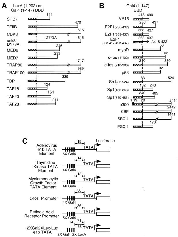 FIG. 1