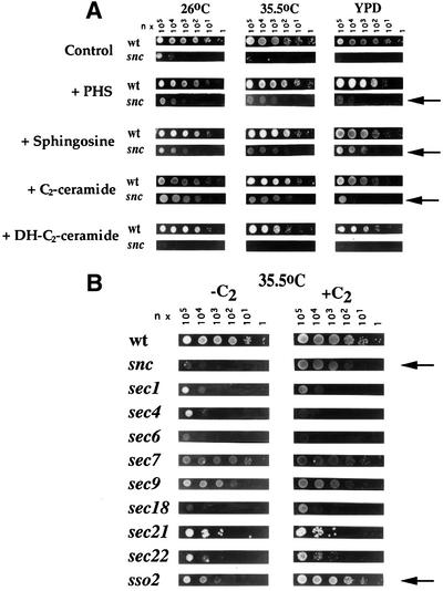 graphic file with name cde061f1.jpg