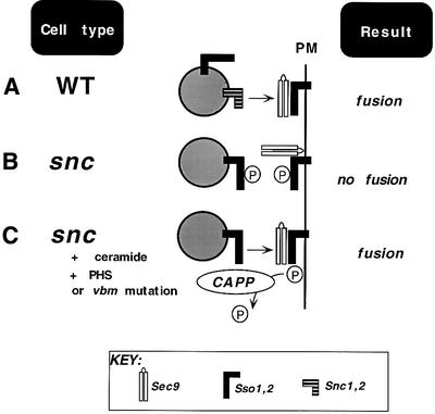 graphic file with name cde061f7.jpg