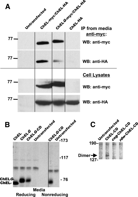 FIGURE 7.