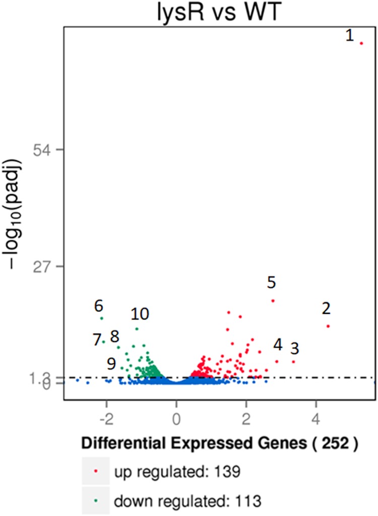 FIG 4