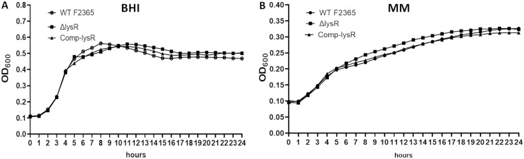 FIG 1