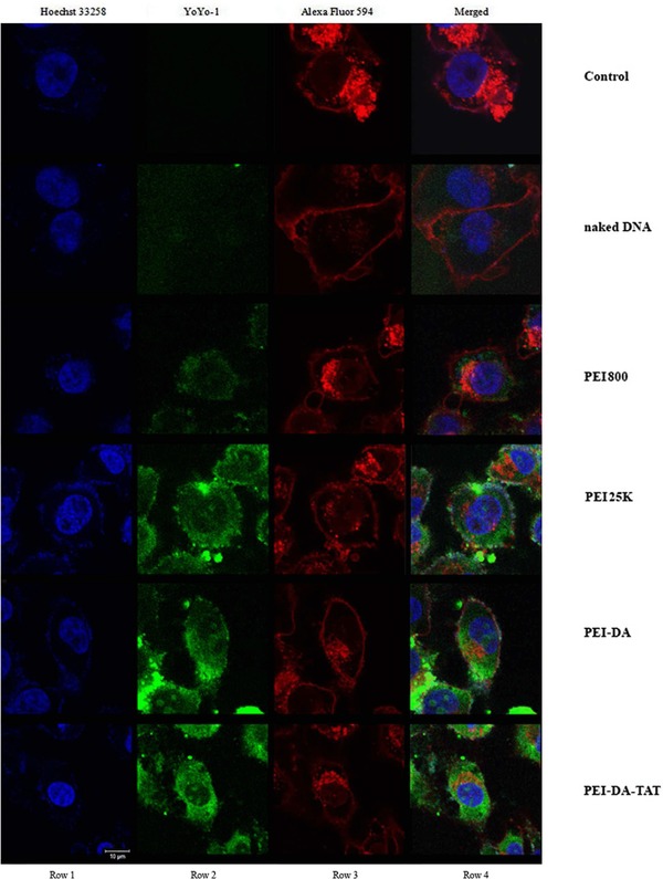 Figure 5