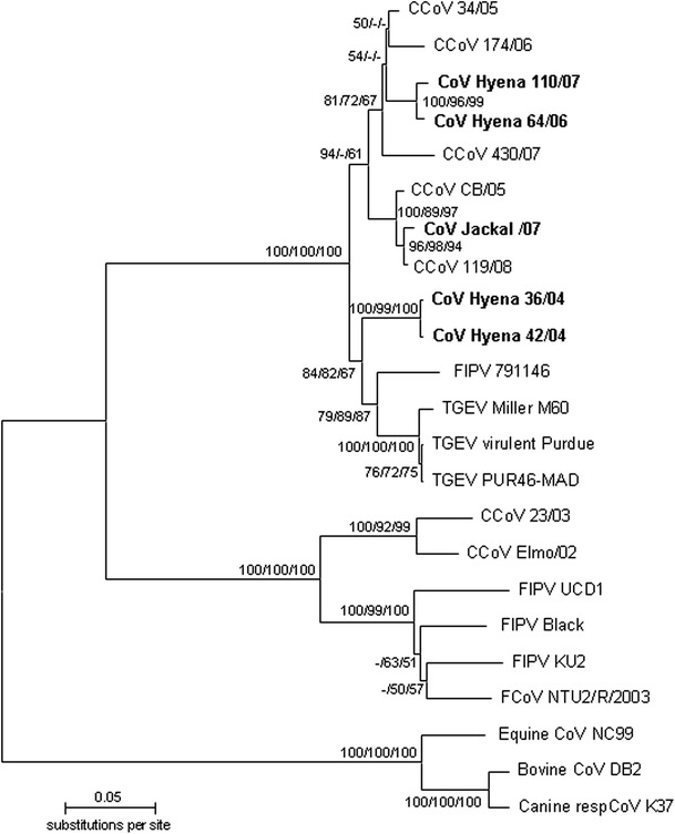 Fig. 2