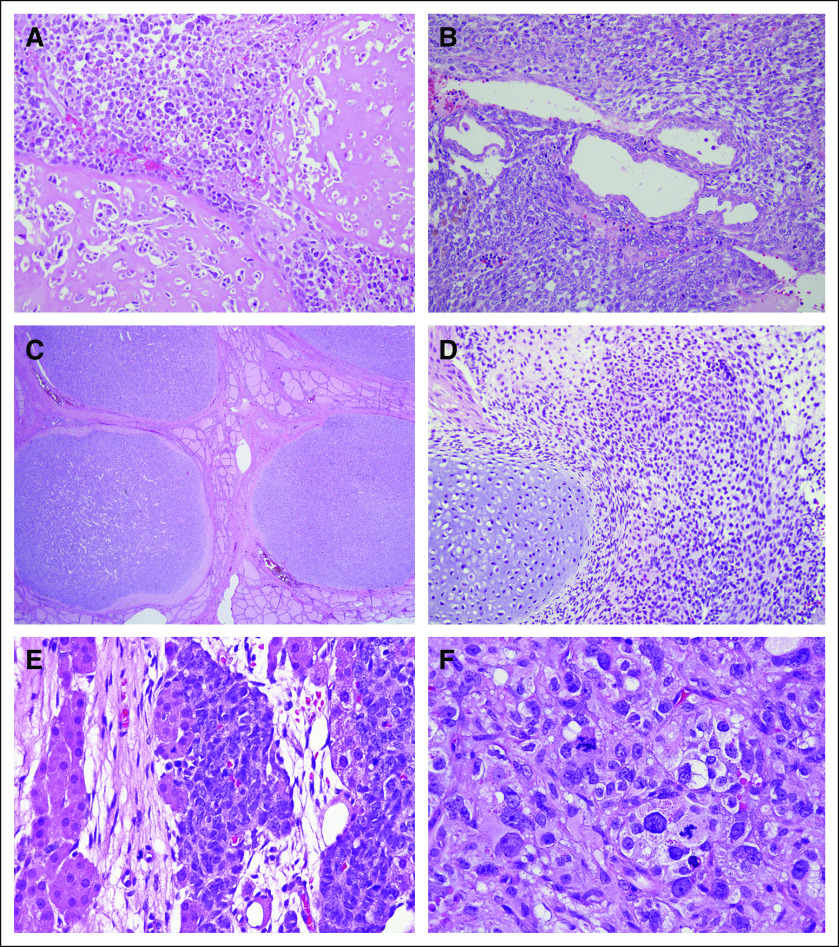 Fig 1.