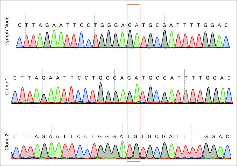 Fig A1.