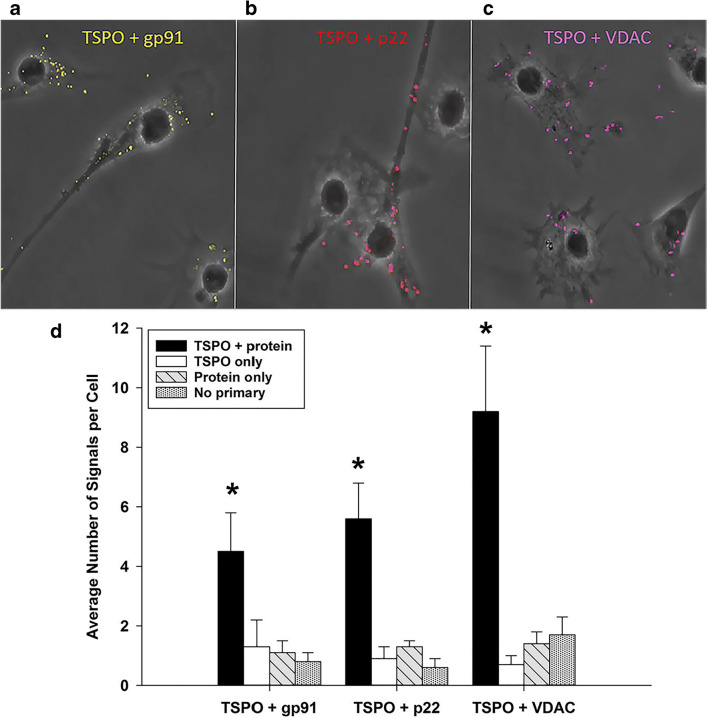 Fig. 3