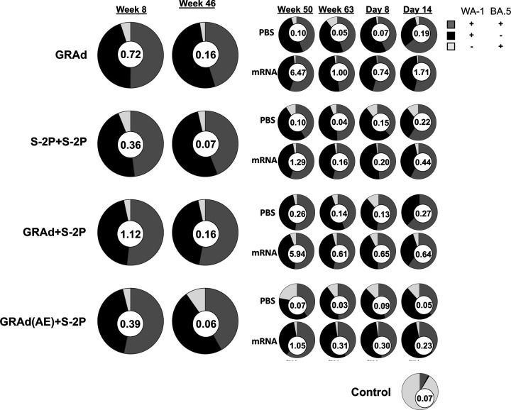 Figure 6: