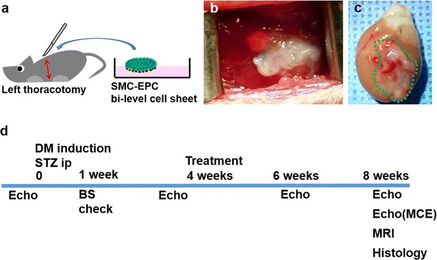 Fig. 2