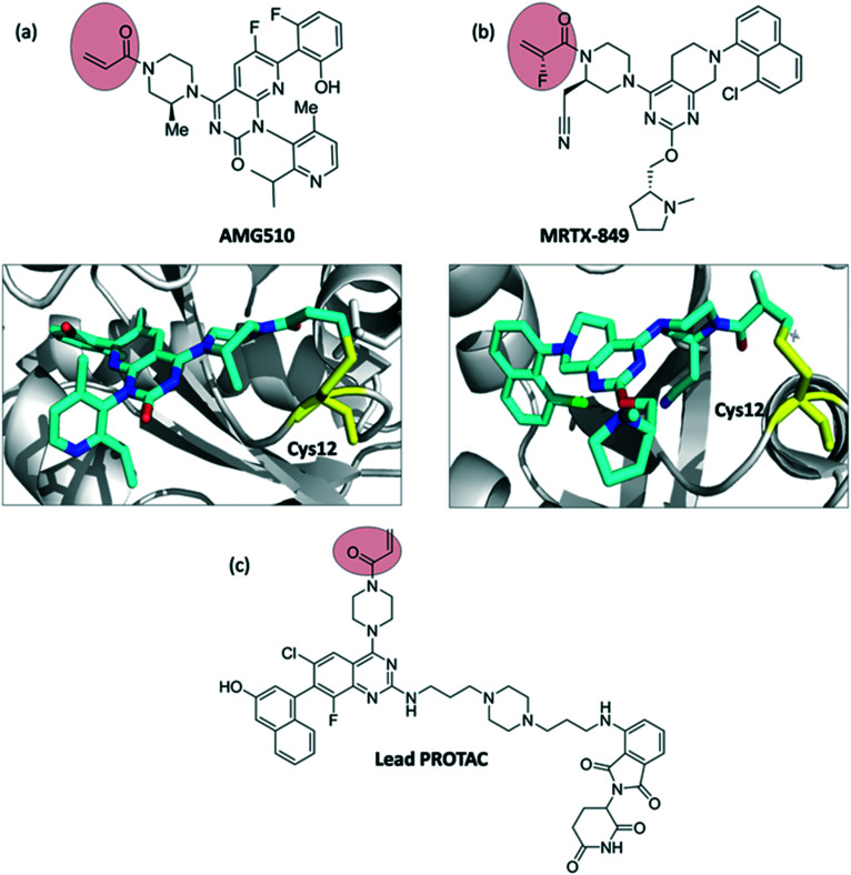 Covalent inhibitors: a rational approach to drug discovery - PMC