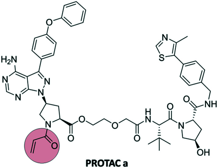 Fig. 10