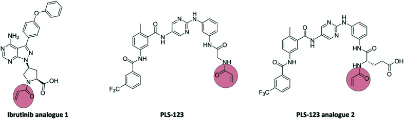 Fig. 9