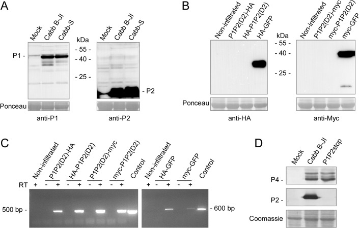 Fig 3