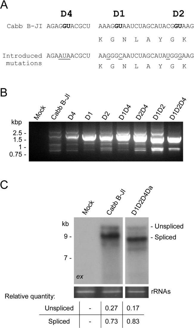 Fig 4