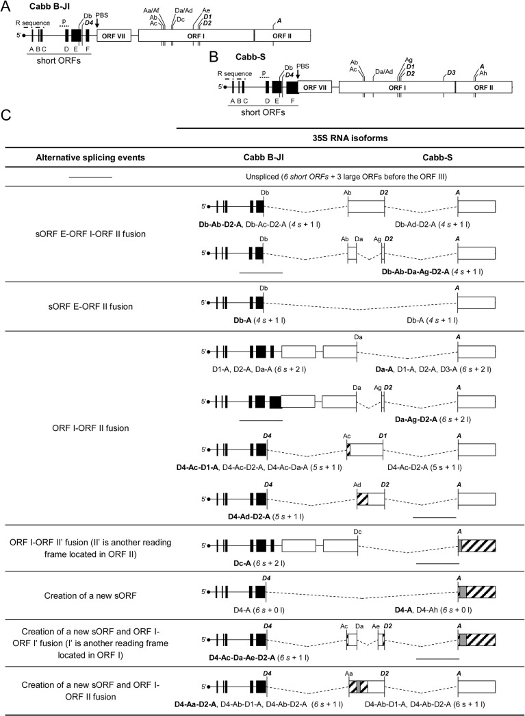 Fig 5