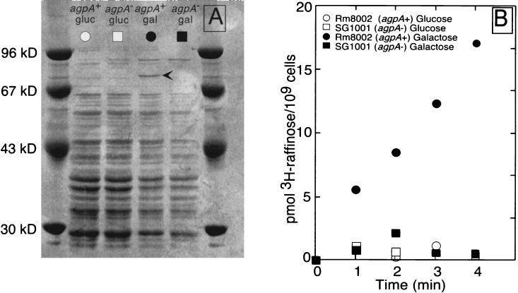 FIG. 7