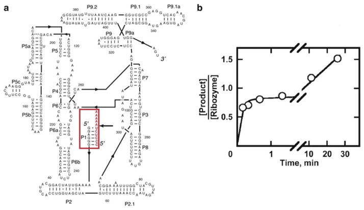 Fig. 1