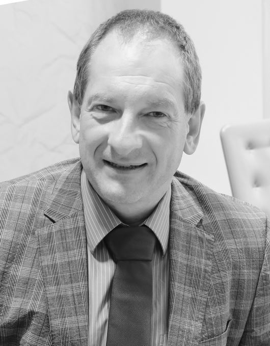 graphic file with name 12614_2021_124_Fig3_HTML.jpg