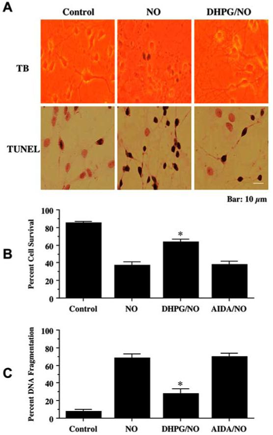 Fig. (1)