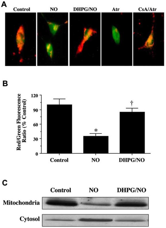 Fig. (7)