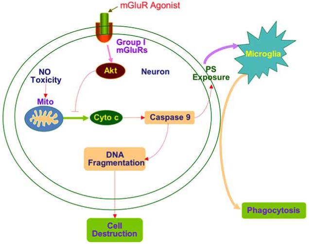 Fig. (9)