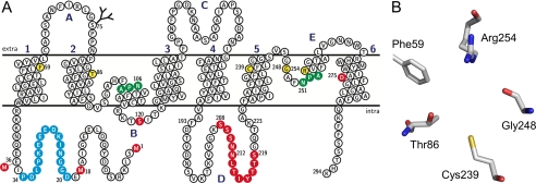 FIGURE 1.