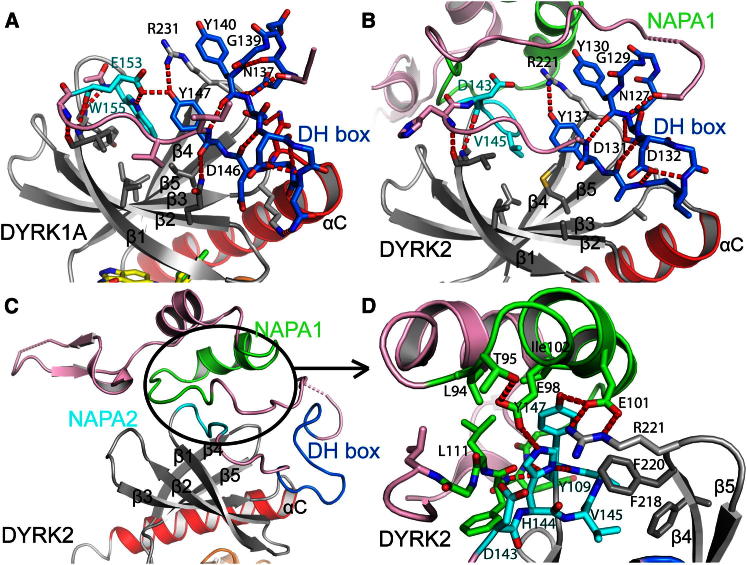 Figure 3