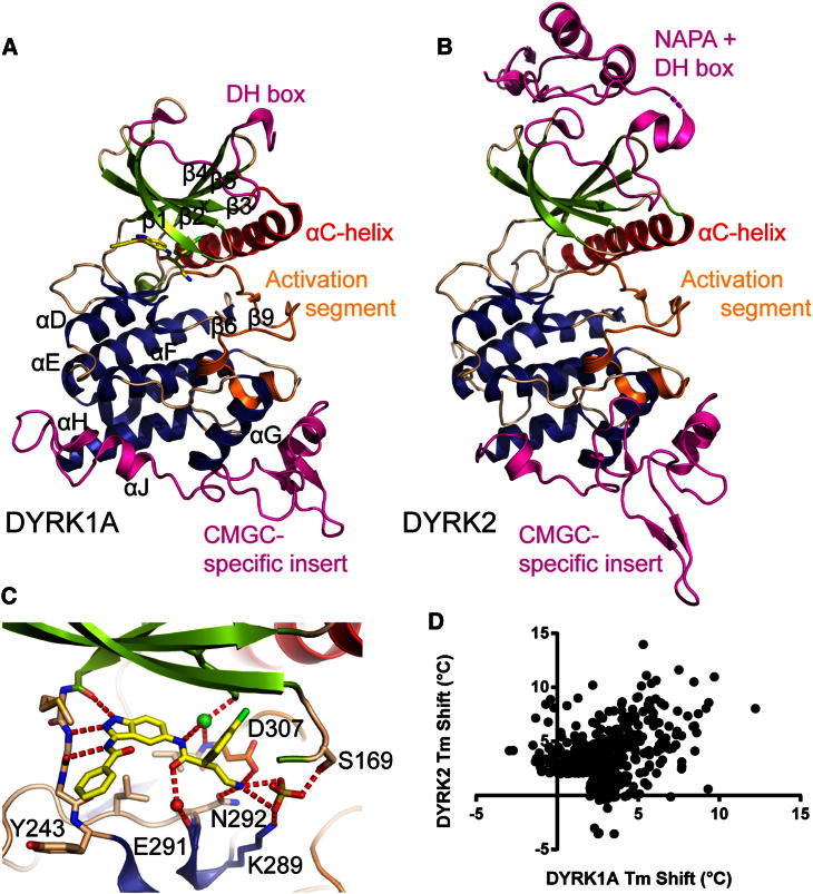 Figure 2