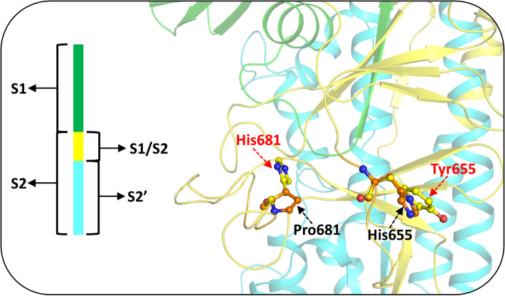 Fig. 8