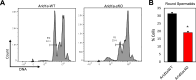 Figure 2—figure supplement 4.