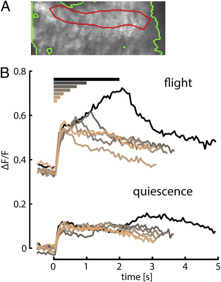 Fig. 4.