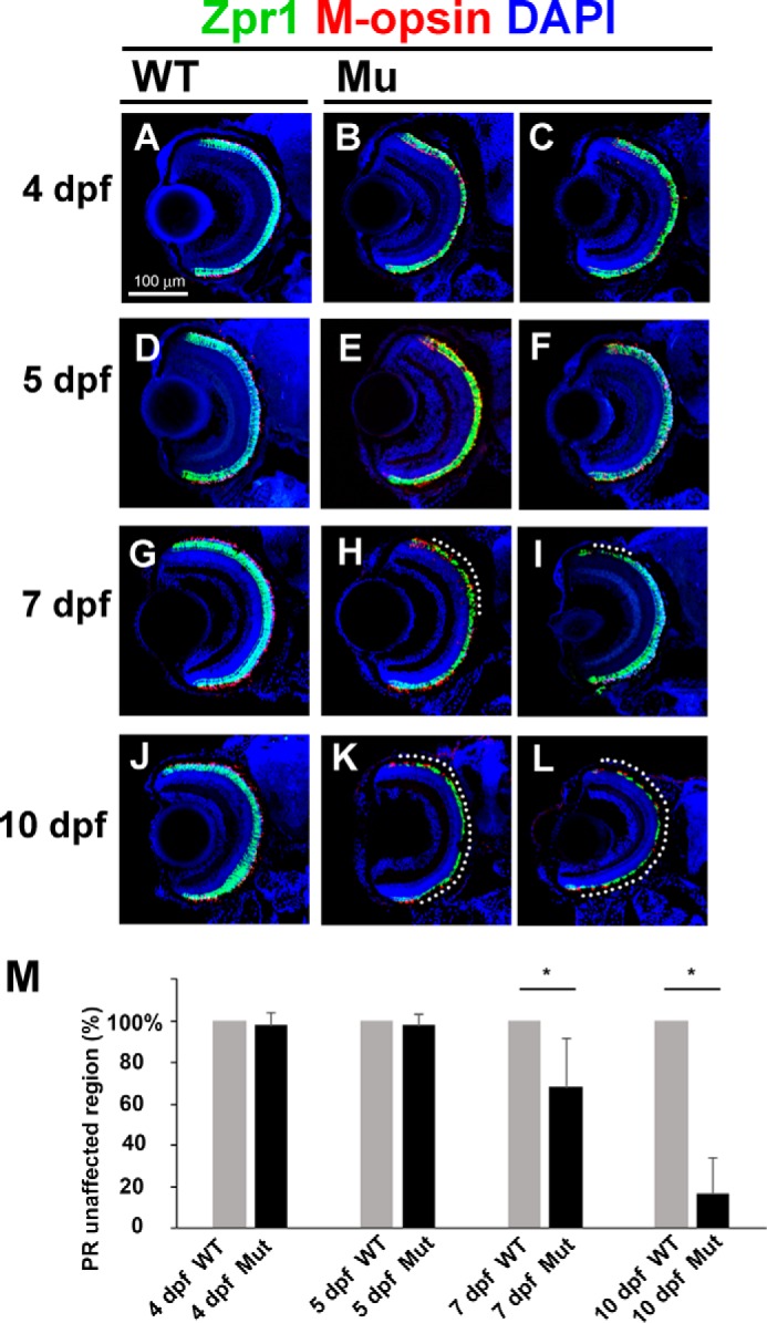 FIGURE 4.