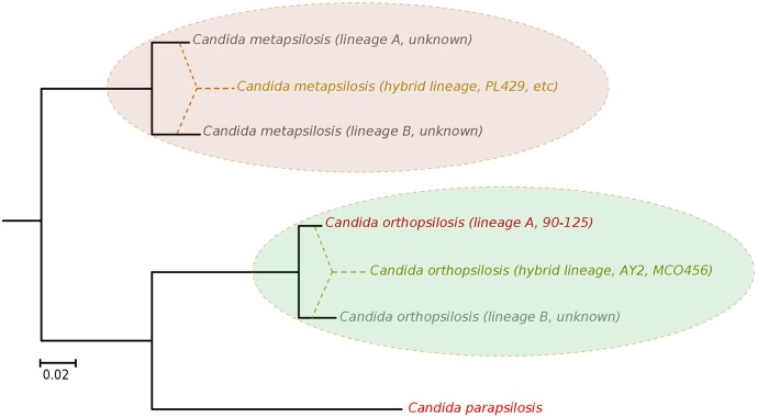 Fig 6