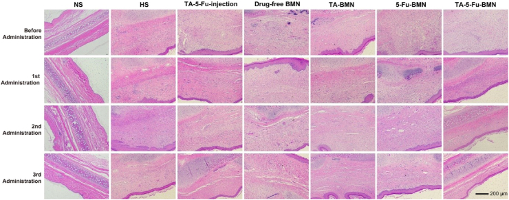 Fig. 8